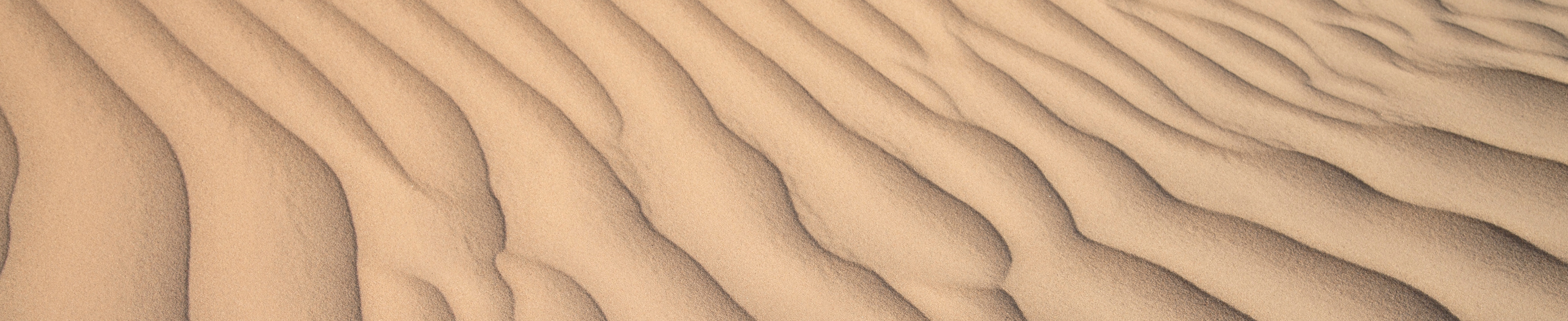 convnet bp sand